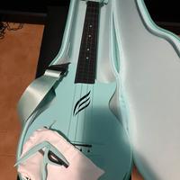 Ukulele concerto Enya