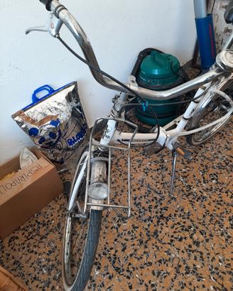 Bicicletta pieghevole