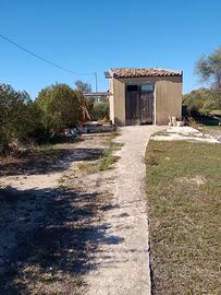 Terreno agricolo