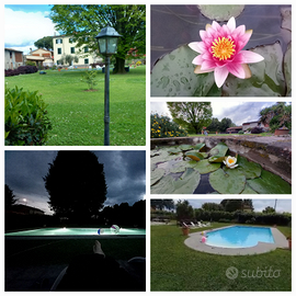 Aia di beppe (libero per i comics) max 5