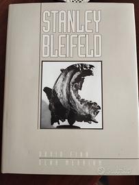 Stanley Bleifeld by D. Finn and D. Merriam