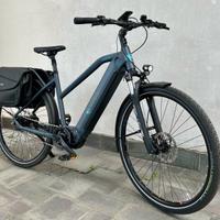 Bicicletta elettrica Ebike Brinke Rushmore