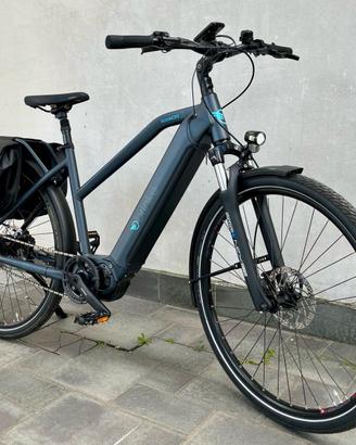 Bicicletta elettrica Ebike Brinke Rushmore