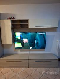 mobile tv