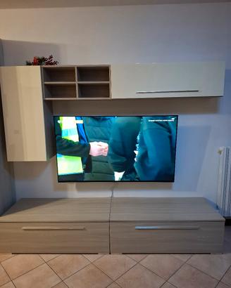 mobile tv