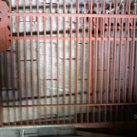 Cancello in ferro battuto