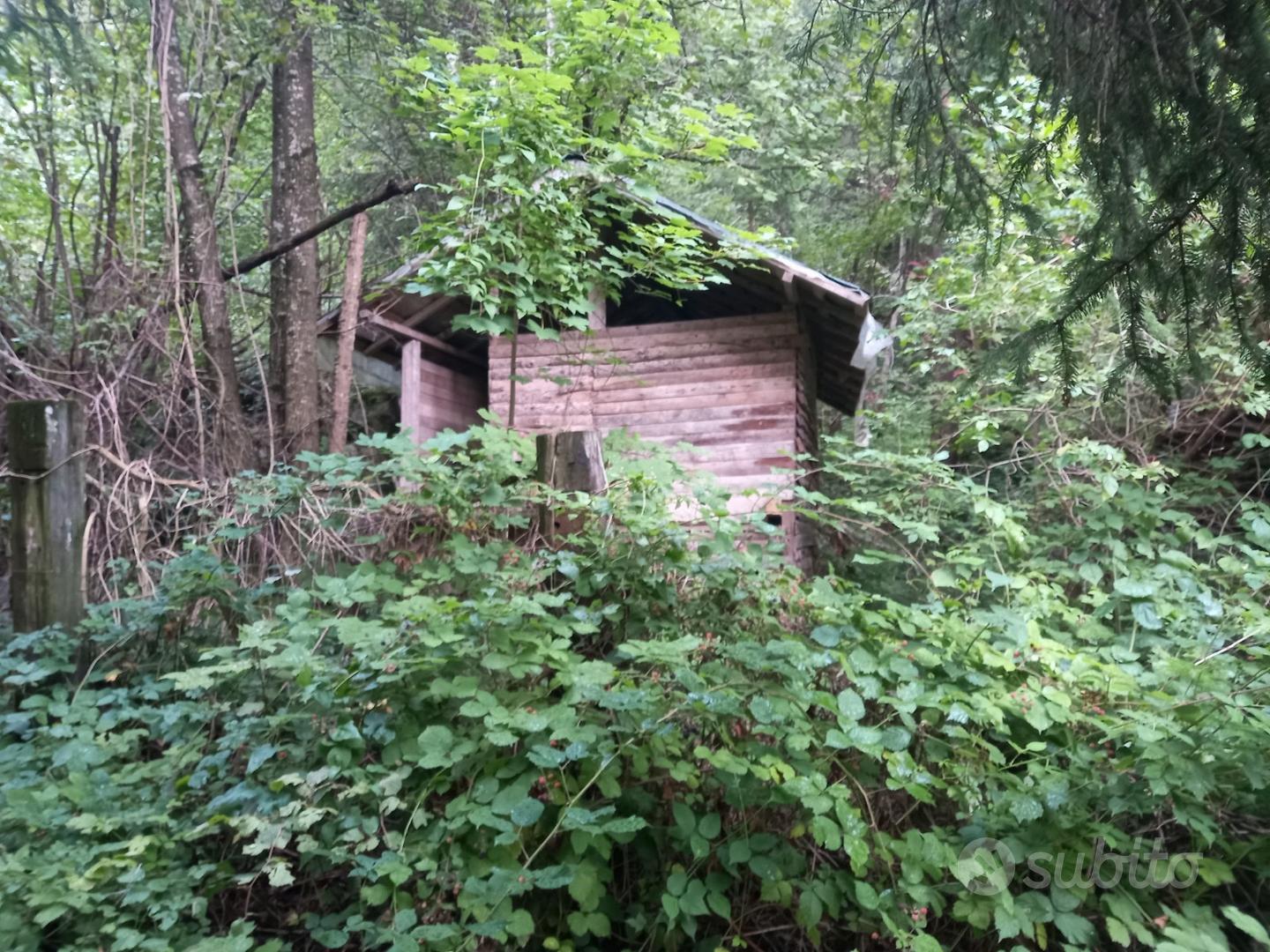 Casa sul lago 14 ettari - Altro