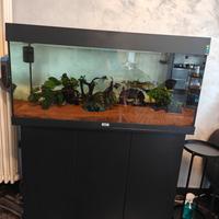 Acquario Juwel Rio 180 Litri