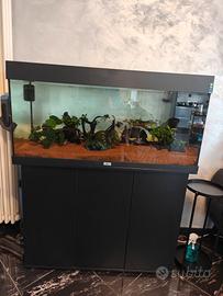 Acquario Juwel Rio 180 Litri
