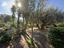 Immagine 25