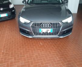 Audi A4 allroad A4 allroad 2.0 TDI 190 CV Business