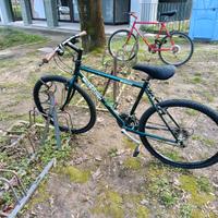 Bicicletta Mountain bike