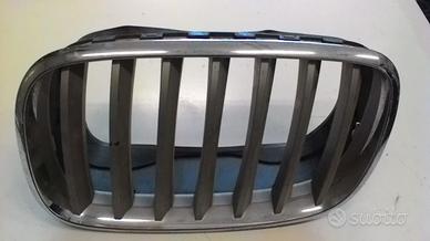 GRIGLIA ANTERIORE BMW X6 E71 1° Serie (08>14)
