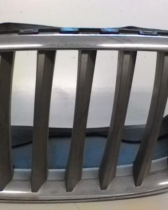 GRIGLIA ANTERIORE BMW X6 E71 1° Serie (08>14)