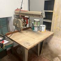 Sega radiale professionale