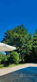 Vacanze in montagna