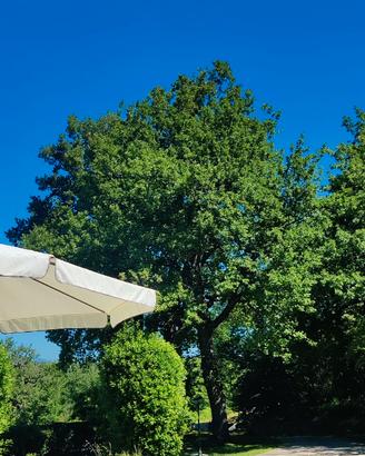 Vacanze in montagna