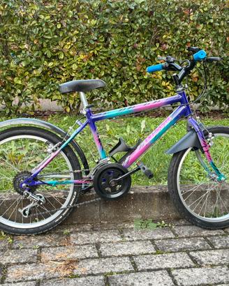 Riparazioni, manutenzioni, restauri biciclette