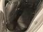 Immagine 10