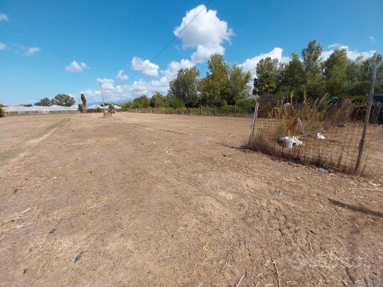 Terreno agricolo - Altro