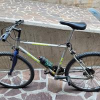 bicicletta