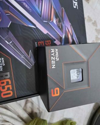 Scheda madre e processore b650 aurus e ryzen 7900x