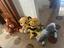 Immagine 1