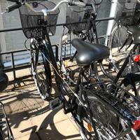 Bicicletta Shimano Nexus Sandnäs Alvö 3