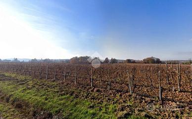 TER. AGRICOLO A CASSINE