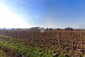 TER. AGRICOLO A CASSINE