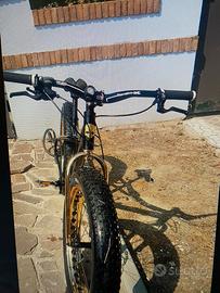 Fat bike Hydro Gold