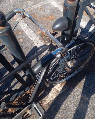 bici da passeggio vintage 