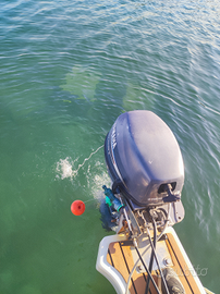 Motore marino Yamaha 10 cv