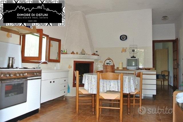 COMPLESSO IMMOBILIARE con TRULLO, LAMIE, VILLA - View 4