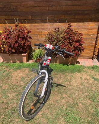 Mtb per ragazzo 10/12 anni  mod. Vertical VRT