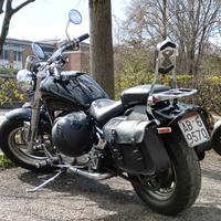 Suzuki VZ Marauder 800 - 1997