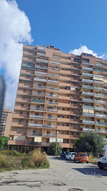 Tranquillità fuori dalla normale caotica vita in c