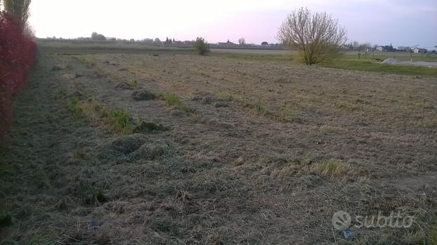 Terreno edificabile urbanizzato con ampio giardino