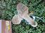 Immagine 5