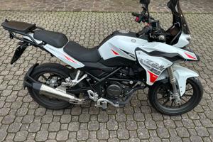 Benelli BN 251 - 2024