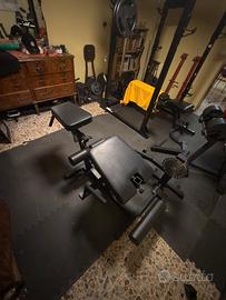 Leg Curl/Leg Extension Kingsgym