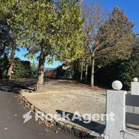 CAPANNONE CON ATTIVITA'