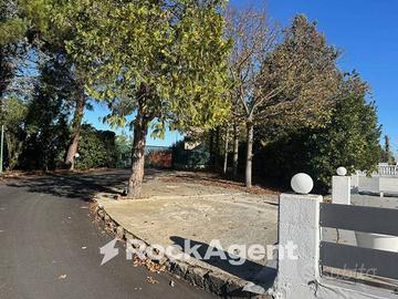 CAPANNONE CON ATTIVITA'