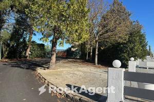 CAPANNONE CON ATTIVITA'