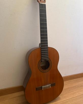 Chitarra yamaha 231II