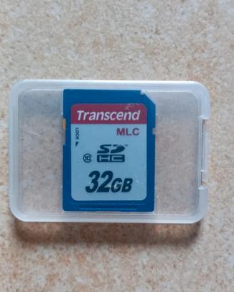 Scheda memoria SD 32Gb Transcend 
