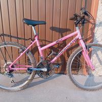 Mountain bike da bambina 