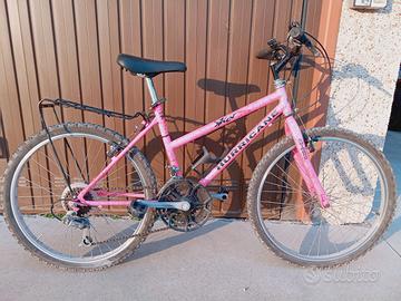 Mountain bike da bambina 