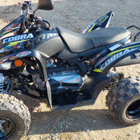 Quad Cobra 400