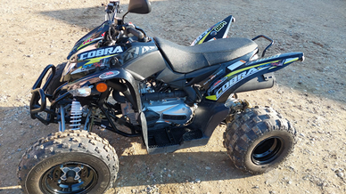 Quad Cobra 400